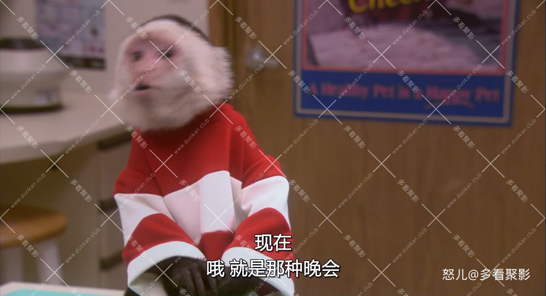 怪医杜立德3.Dr.Dolittle.3.2006.1080p.WEBRip.x265.2audio-RARBG.mkv_20260717_112953.326.jpg