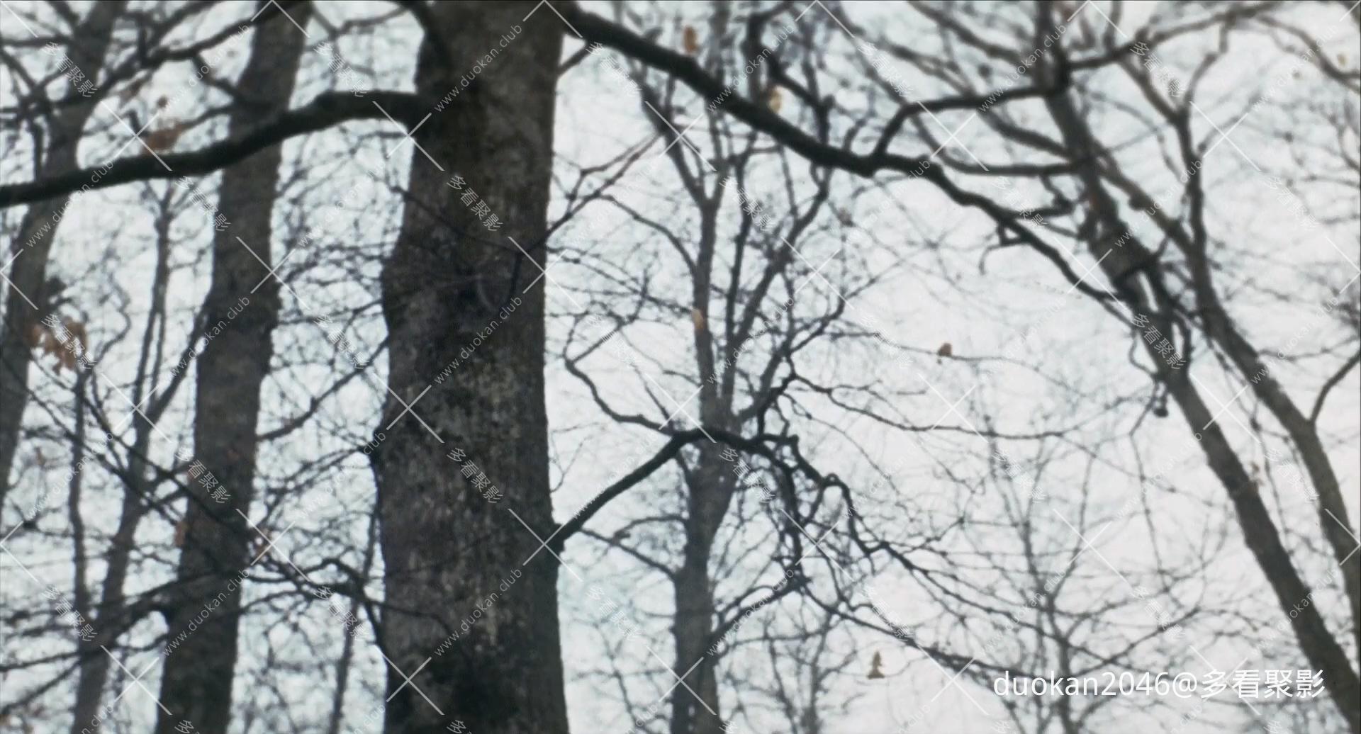 你死我亡.mkv_20260717_210721.117.jpg