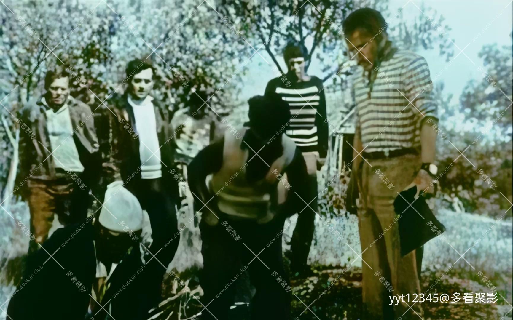 初春[1976] Iris2.mkv_20260718_084826.683.jpg