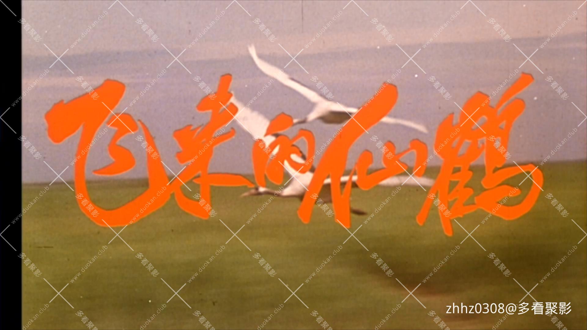 飞来的仙鹤 1982.mp4_20260718_133813027.jpg