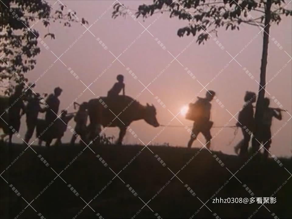 竹山青青(1982).mkv_20260718_144831304.jpg