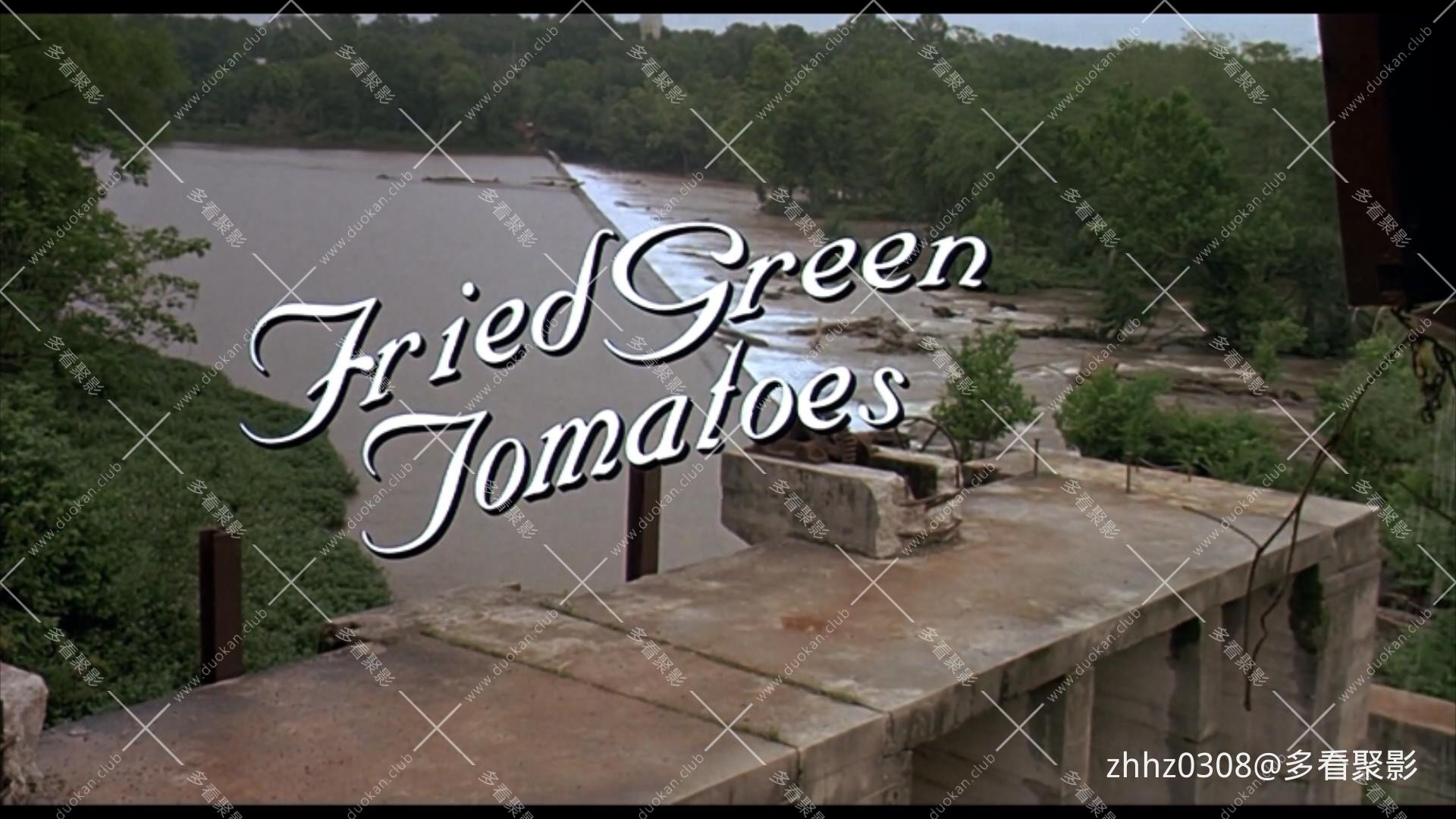 油炸绿番茄 Fried Green Tomatoes (1991).mkv_20260721_160049785.jpg