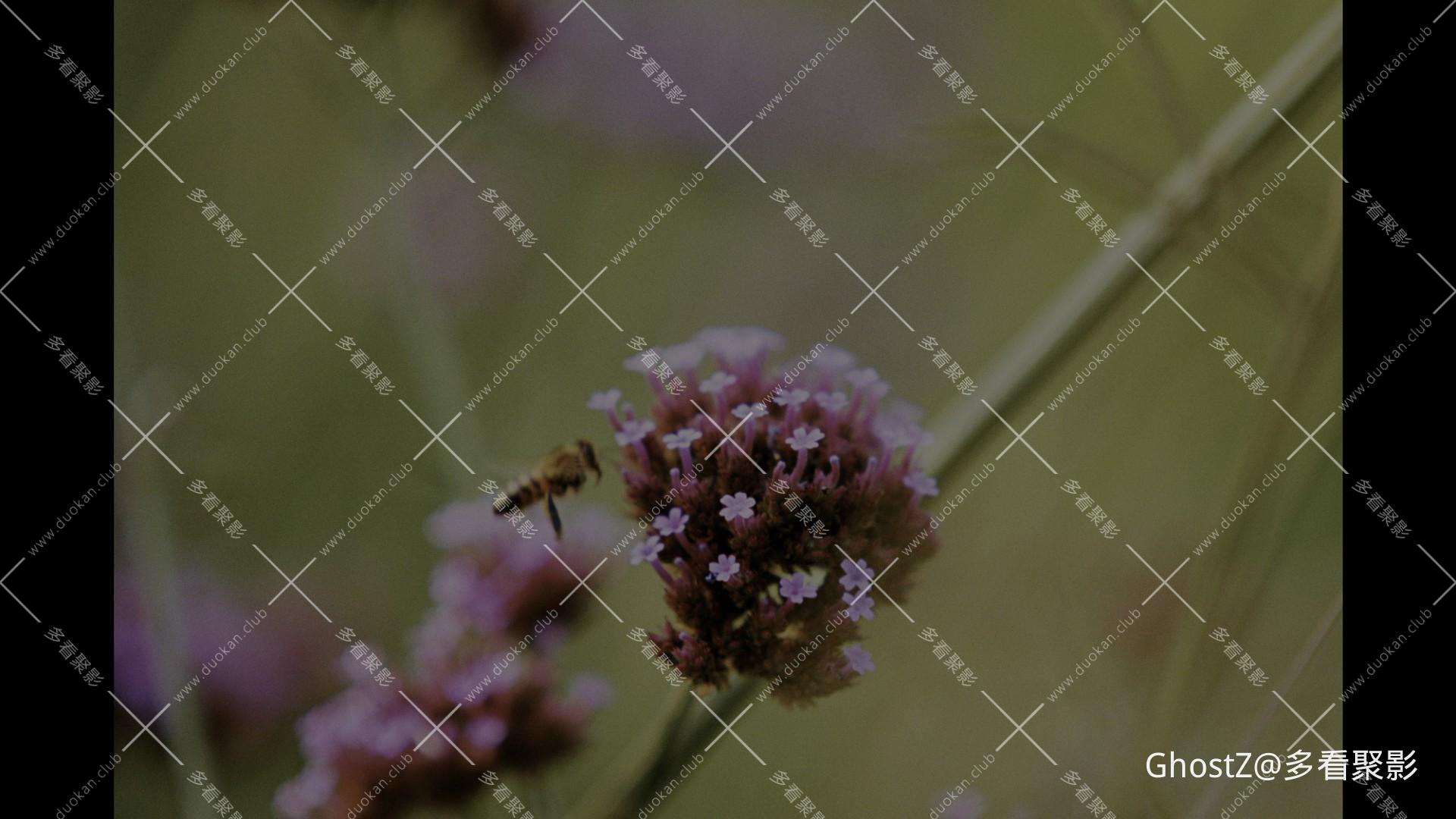 拯救地球 (2025) [tmdb=701387].mkv_000050.408.jpg