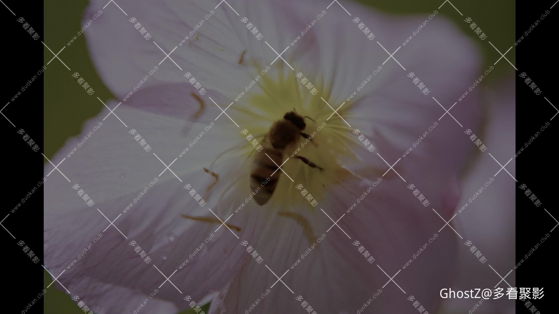 拯救地球 (2025) [tmdb=701387].mkv_000110.893.jpg