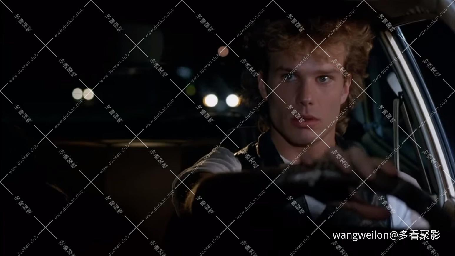 Vibrations (1996) 颤音 国配.mkv_20260730_210836.647.jpg