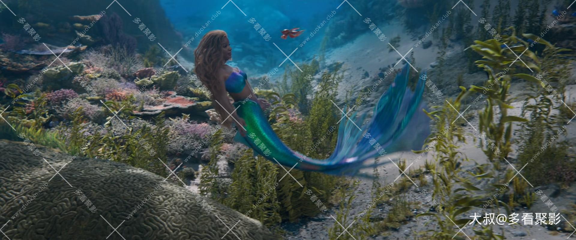 The Little Mermaid 2023 V2 BluRay 1080p DTS-HDMA7.1 x265 10bit-DreamHD.mkv_20260.jpg