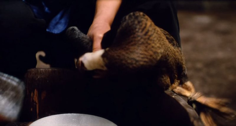 大鸿米店.Rice.1995.WEB-DL.4K.H265.AAC-PTerWEB.mp4_115生活(曾用名“115网盘”)_数.png