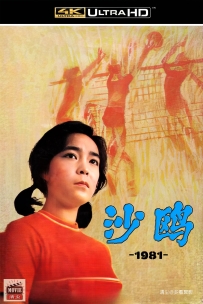 [115] 沙鸥-The Drive to Win-1981-国语无字-3.54G-4K修复-MP4